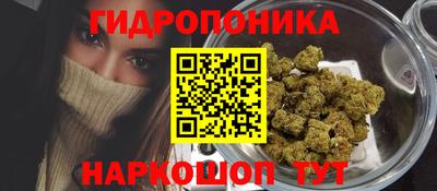 крисы Кинель