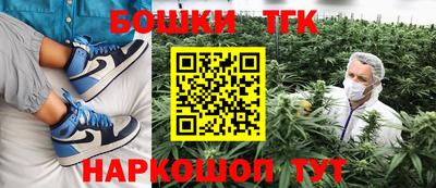 мдпв Кингисепп