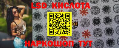 мдпв Кингисепп
