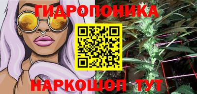 мдпв Кингисепп