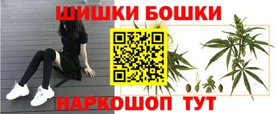 мдпв Кингисепп