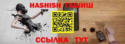 мдпв Кингисепп