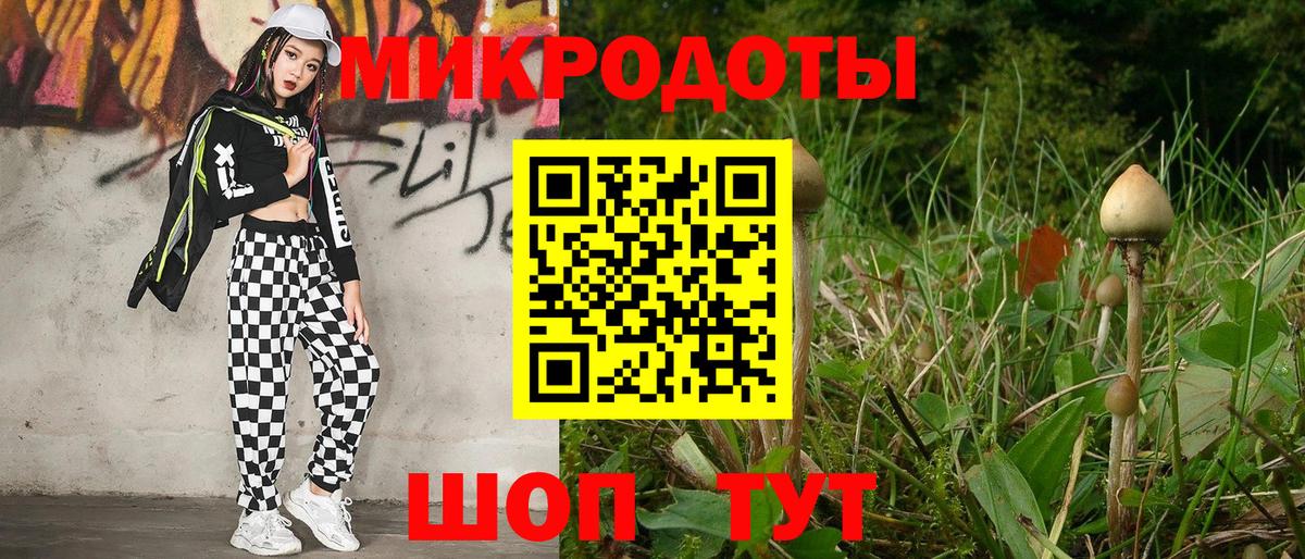 Псилоцибиновые грибы прущие грибы  Вход с VPN  как найти закладки  Биробиджан 