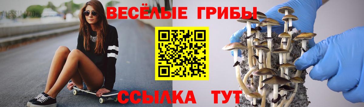 Псилоцибиновые грибы мицелий Биробиджан